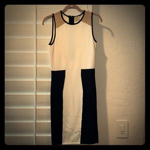 Torn by Ronny Kobo knit color block dress